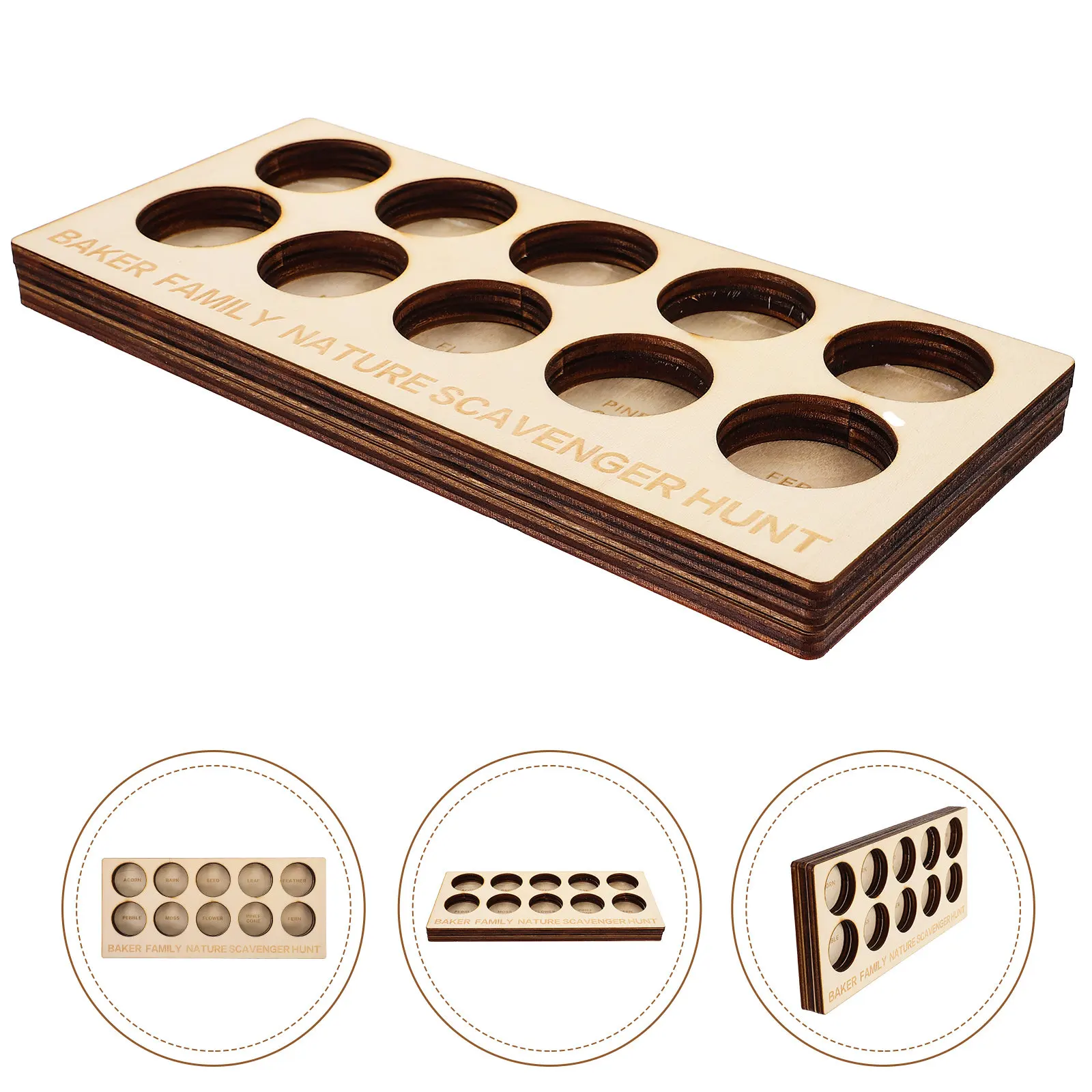 tabellone-da-gioco-per-l'esplorazione-caccia-al-tesoro-nella-natura-esplorazione-all'aperto-caccia-al-tesoro-tabellone-per-l'esposizione-di-campioni-vegetali