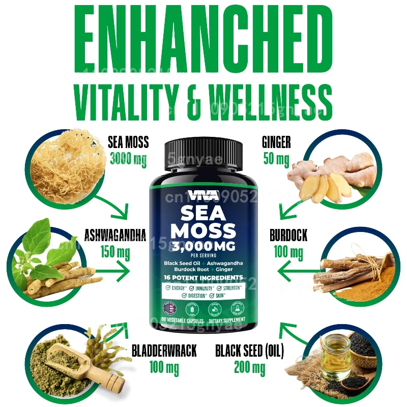 

Organic Irish Seaweed Pills - Wild Inspired Seaweed Mix with Turmeric, Burdock Root, and Bladder, Black Pepper -60 Capsules