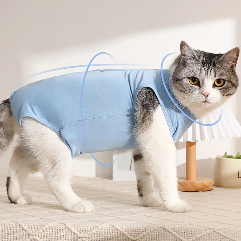: katze Westen