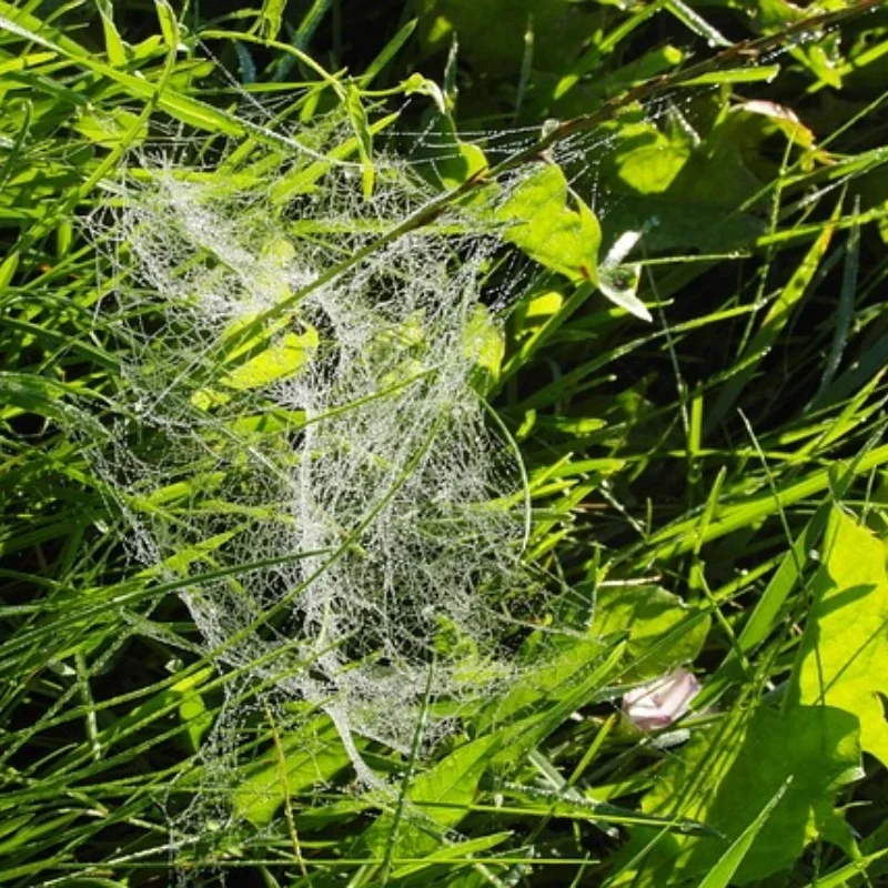 

1/10 RC Racing Car Tires On Road Tyre Wheel for Tamiya TT01 TT02 XV01 TA06 PTG-2 HPI WR8 HSP /10 RC Car Upgrades Parts