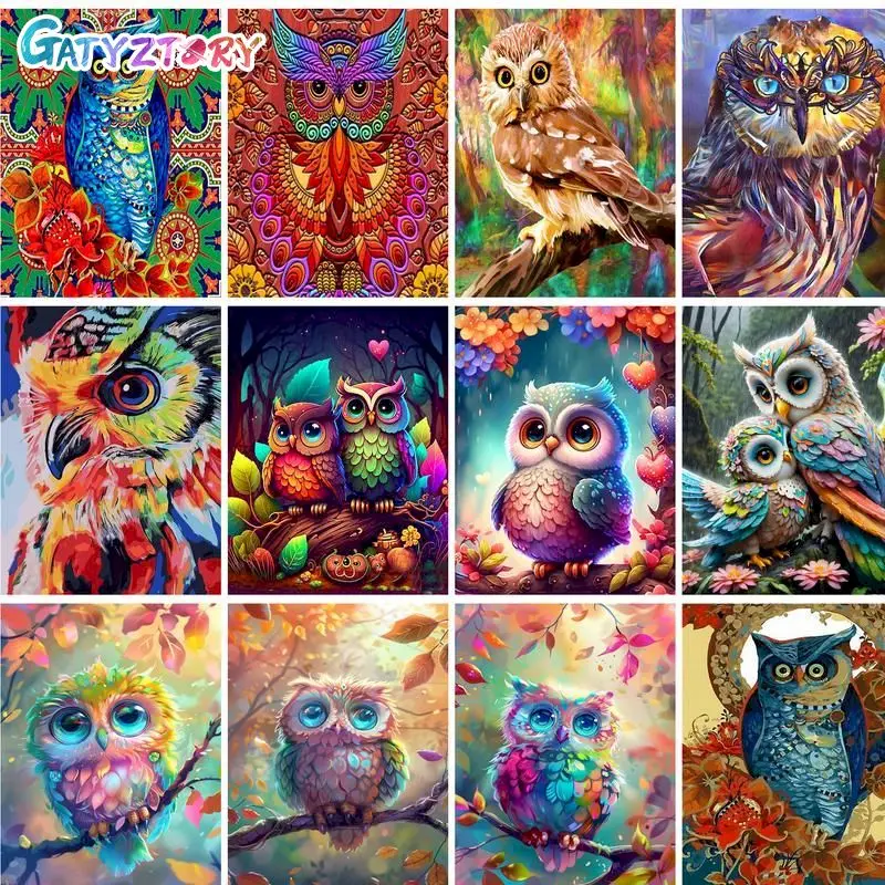 

GATYZTORY Frame Colorful Owl Animals DIY Painting By Numbers For Adults Diy Artcraft Oil Paints By Numbers Framed Drawing Artwor