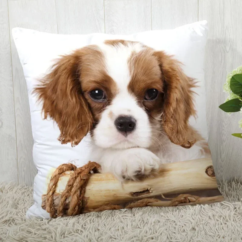 Serie di stampa Cocker Spaniel Divano Fodera per cuscino creativa Federa semplice Decorazione per la casa Auto per feste