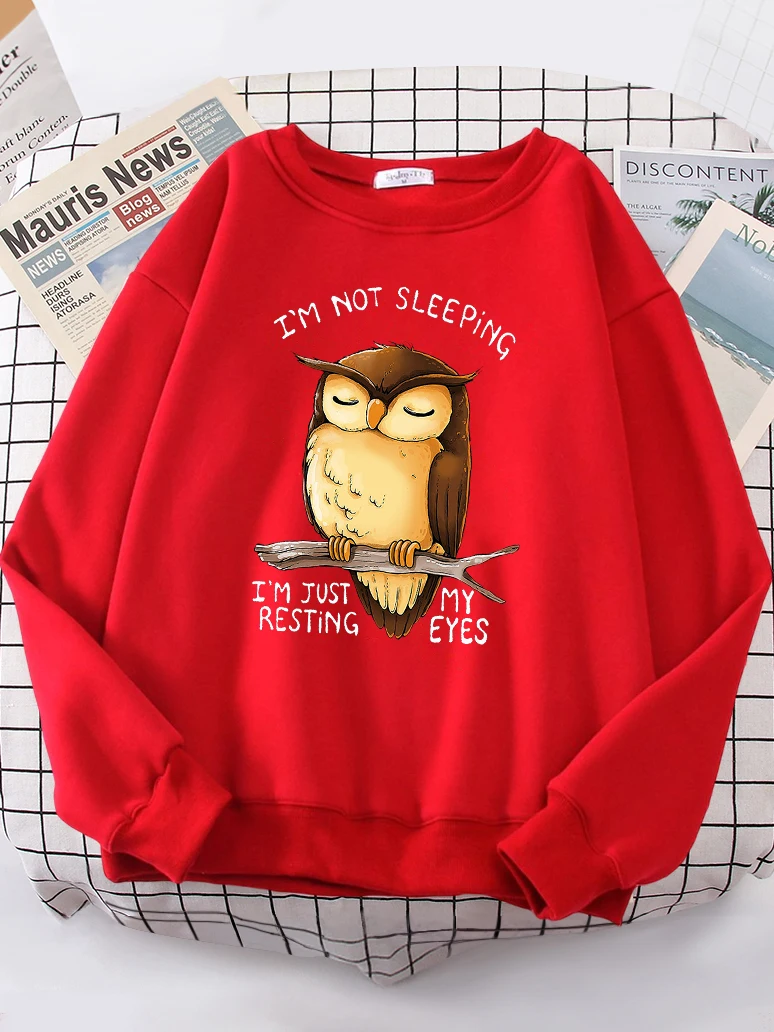 I\'m Just Resting My Eyes Owl Women Hoodie Harajuku Fleece Hoody Fashion Crewneck Sweatshirt vintage Oversize Female Streetwear