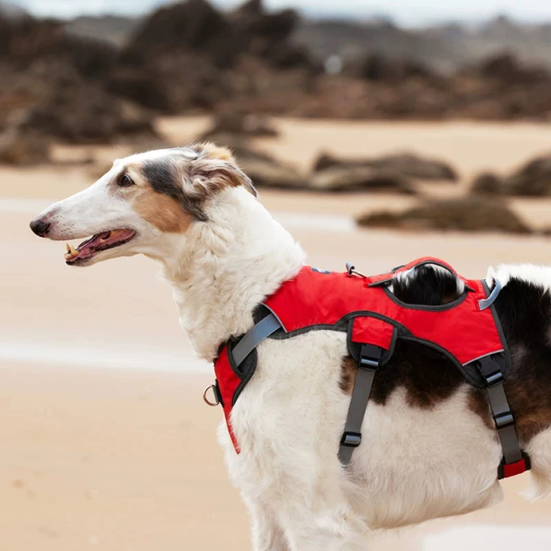 Large Dog Chest And Back Strap Summer Breathable Mesh Anti-Explode Shockproof Anti-Pulling Anti-Escape Pet Leash