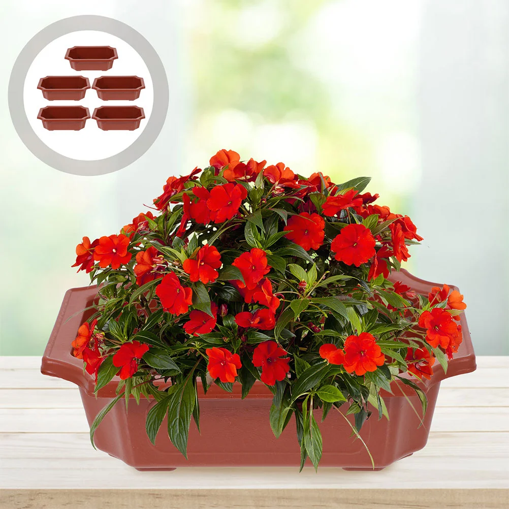 

10 Pcs Flowerpot Houseplants Pots Plastic Planting Succulent Bonsai Practical Large Outdoor Office Household