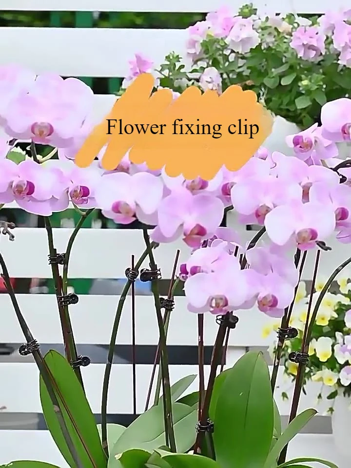 

Horticultural Vine Clip - Plastic Green Plant Clip for Orchid,Rose,Grafting,Small Fixed Clip for Climbing Vines&Potted Greenery