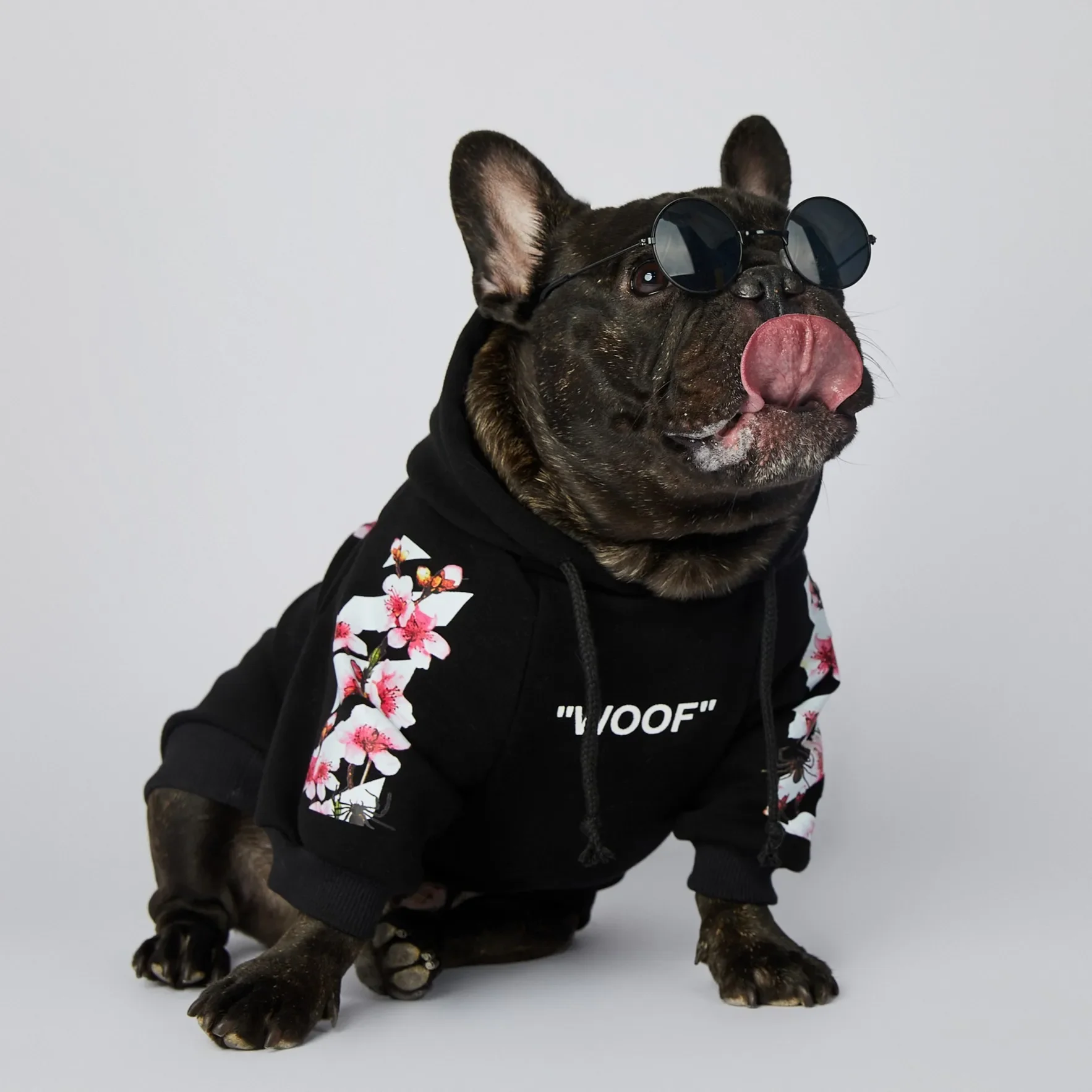 NONOR Vêtements pour chiens WOOF Veste pour chien Sakura Mode Sweats à capuche pour chien de compagnie Hiver Bouledogue français Carlins Veste de sport pour chien M-4XL