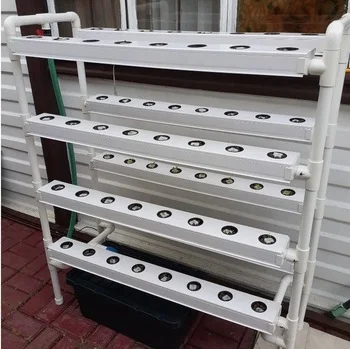 Hydroponic Indoor Fast-Growing Lettuce Mini Growing Kit  System 100*50 for Home Agricultural Greenhouses Product