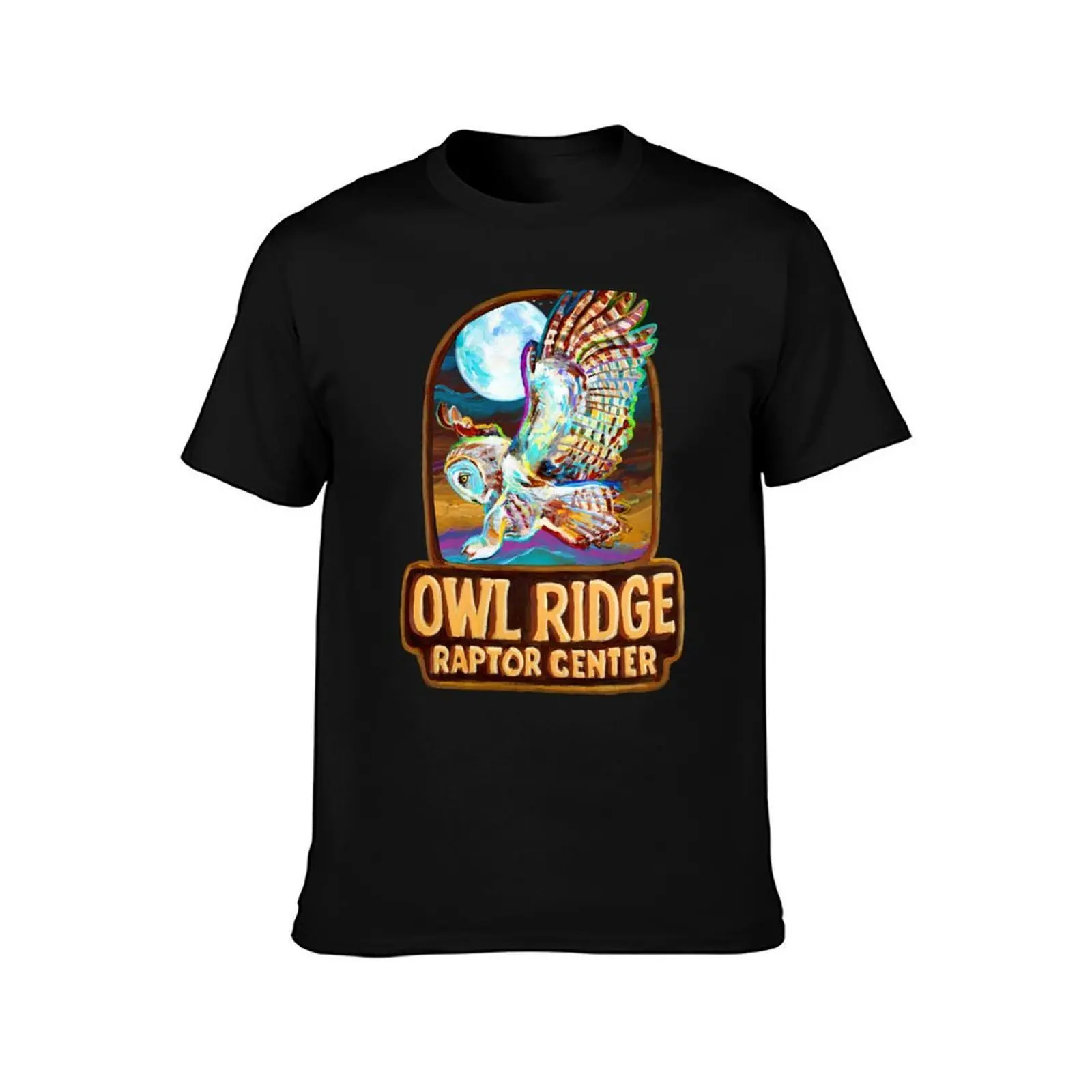 Owl Ridge Raptor Center Barn Owl T-Shirt, Summer Casual Cotton Tee, Oversized Streetwear Tops, Vintage Graphic Print