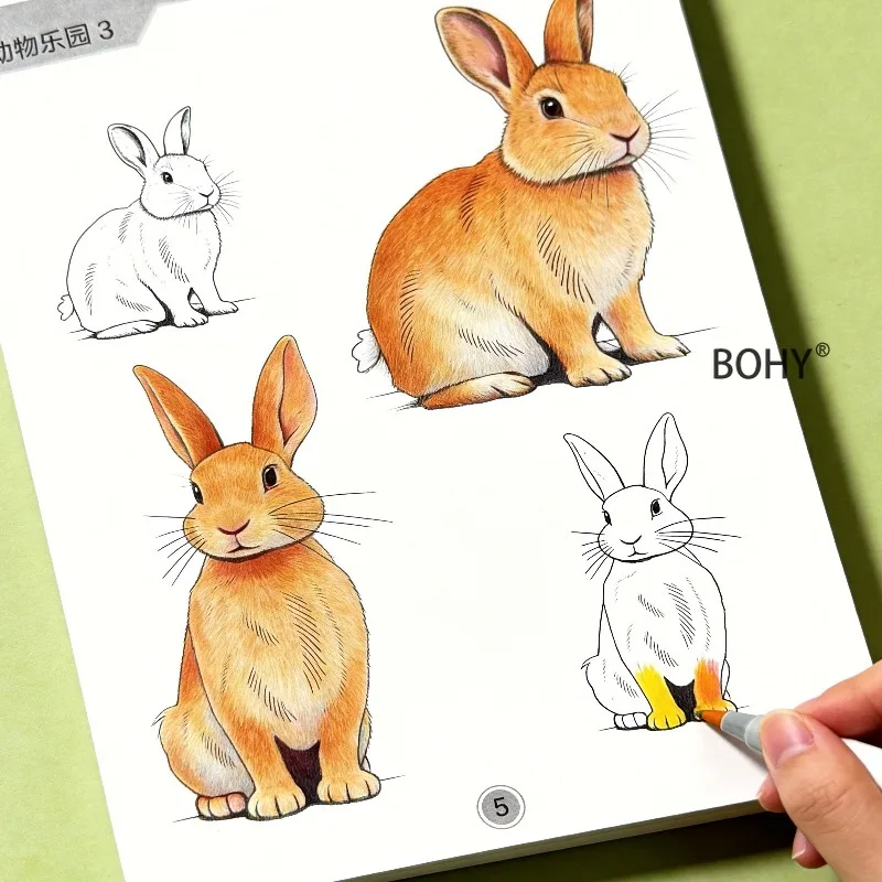 1 Animal Coloring Exercise Book, Including Themes As Lions, Rabbits, Squirrels, Sheep, Kangaroos and Other Animals, 24 Pages