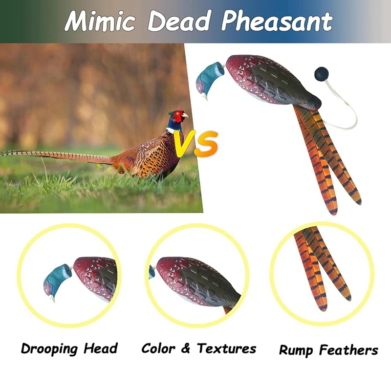 Pet simulation toy 2 Pcs Pheasant Dummy Bumper Toy for Hunting Retriever Dog Training,