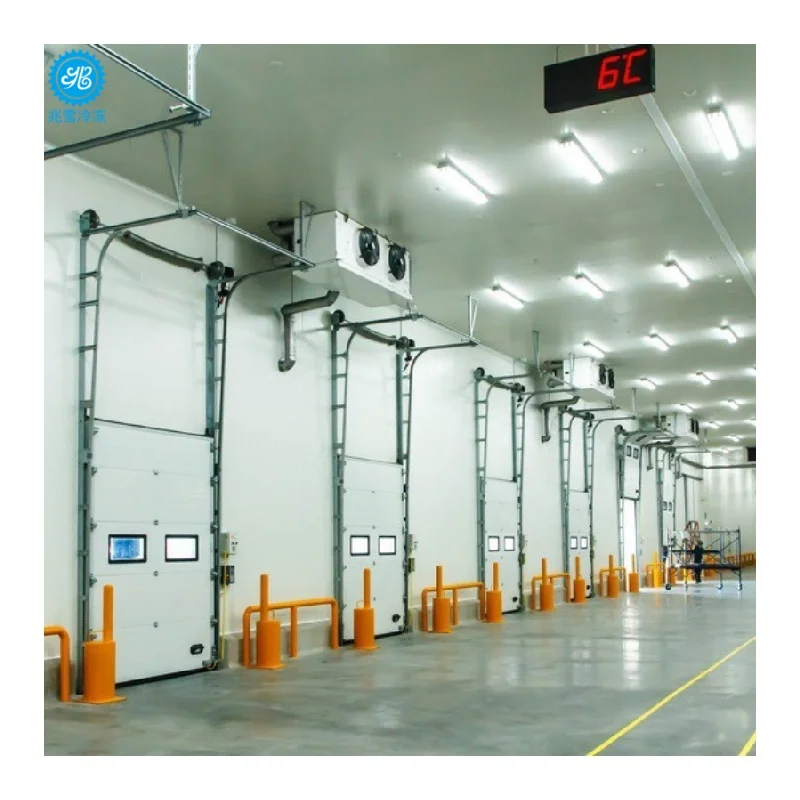 Commercial Cold Storage Refrigeration Equipment Cooling Room  Freezer Solutions for Food Seafood  Industry