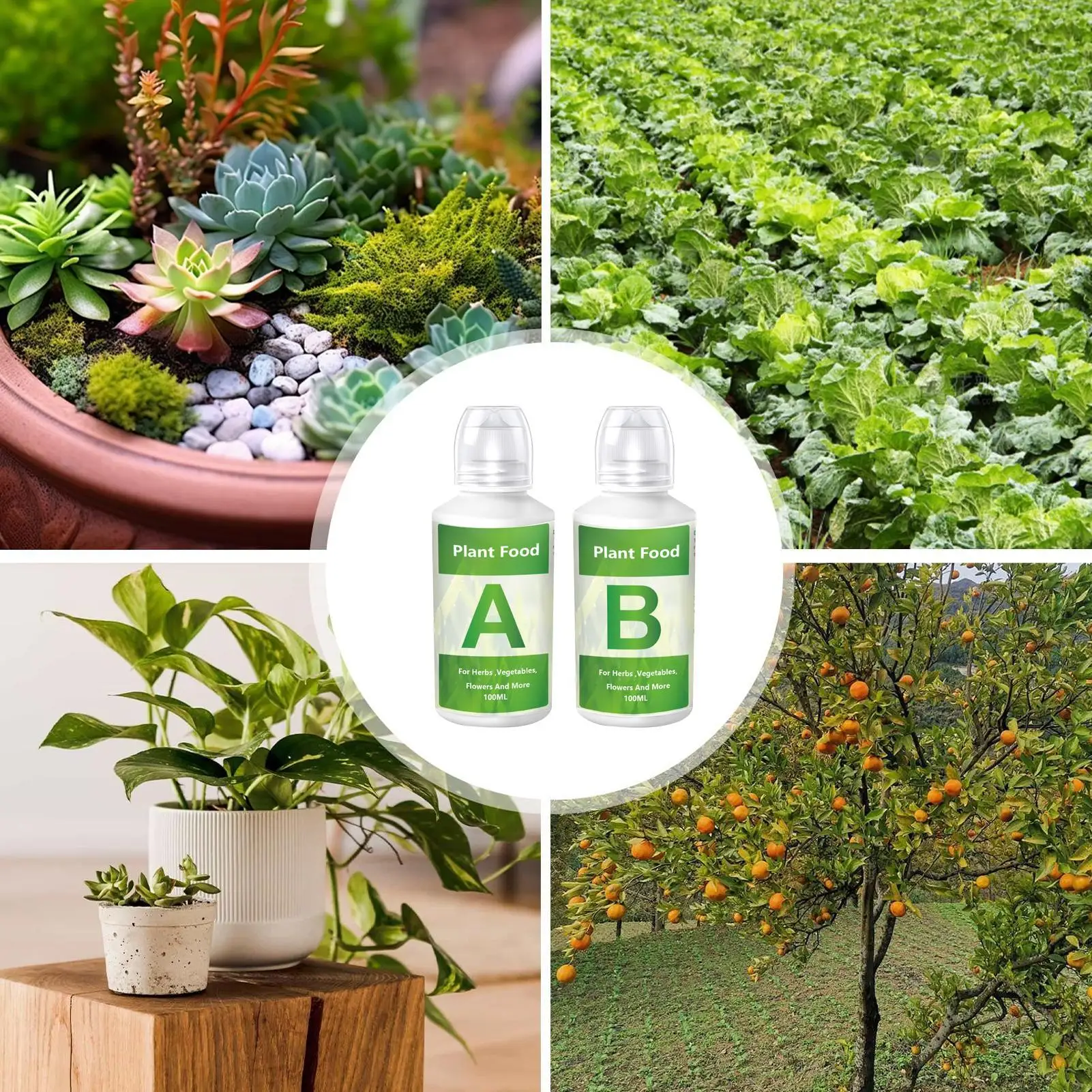 مجموعة مغذيات هيدروبونيك احترا - مراجعة Nutrient Solution Ab وسعره