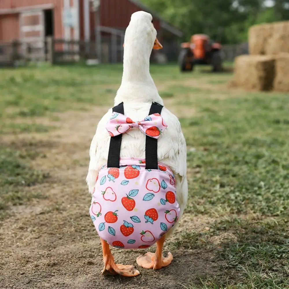 Adjustable Duck Diapers Elastic Band Bowknot Design Chicken Physiological Pants Washable Breathable Poultry Costume Poultry Care