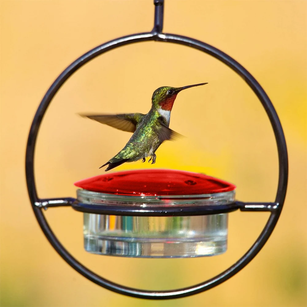 Outdoor Humming Bird Feeder Ant Bee Proof Hummingbird Feeder Tray with Red Plastic Bowl for Outside Garden Backyard Patio Deck