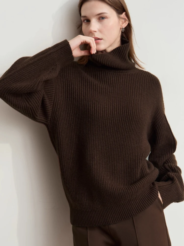 

AMII Minimalism Women's Sweater 2025 Winter New Warm Turtleneck Sweater For Woman Pullover Knit Long Sleeve Top Female 12424072