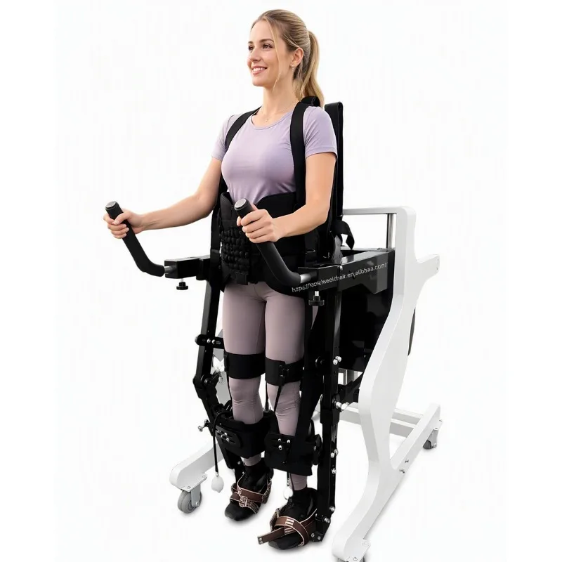 Lower Limb Rehabilitation Exoskeleton, Disability-Specific Rehabilitation Equipment, OEM/ODM