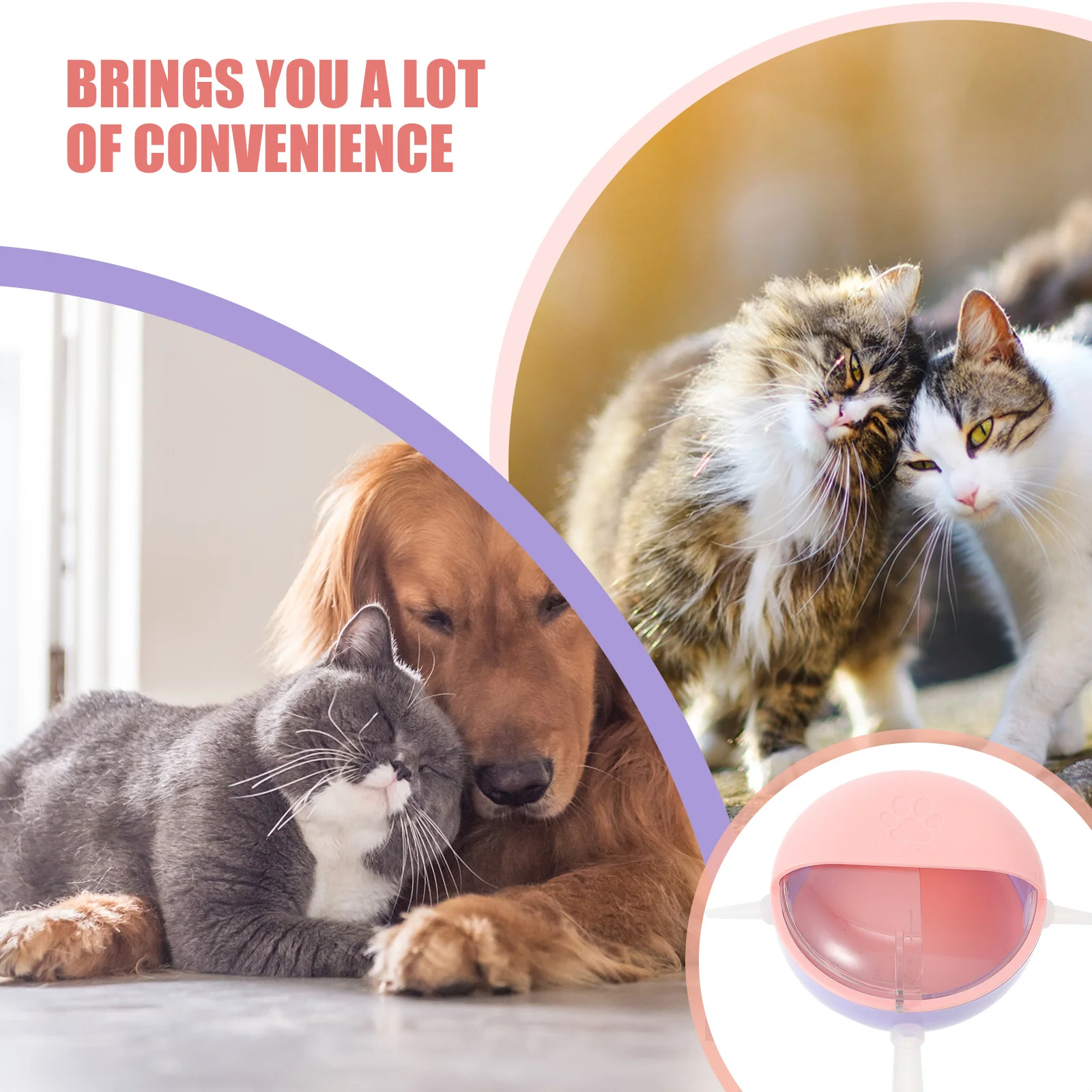 

Bowl Puppy Kitten Feeder Small Animal Bubble Breastfeeding Device Healthy Material Long Service Life Easy Little
