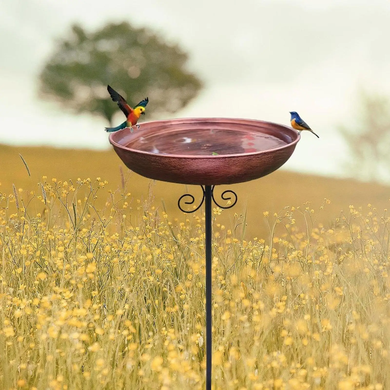 Iron Bird Bath with 5 Pronged Base Decorative Easy Assembly Landscape Feeding Station Food Water Bowl for Park Fence Backyard