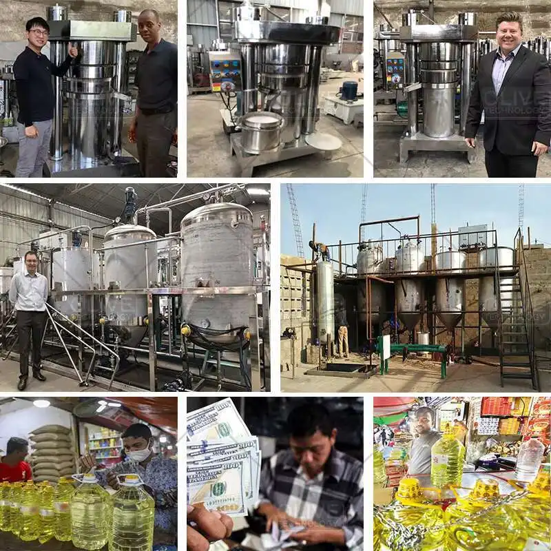 Commercial Oil Press Machine Hemp Oil Extraction Machine Machine for Cold Pressing of Olive Oil