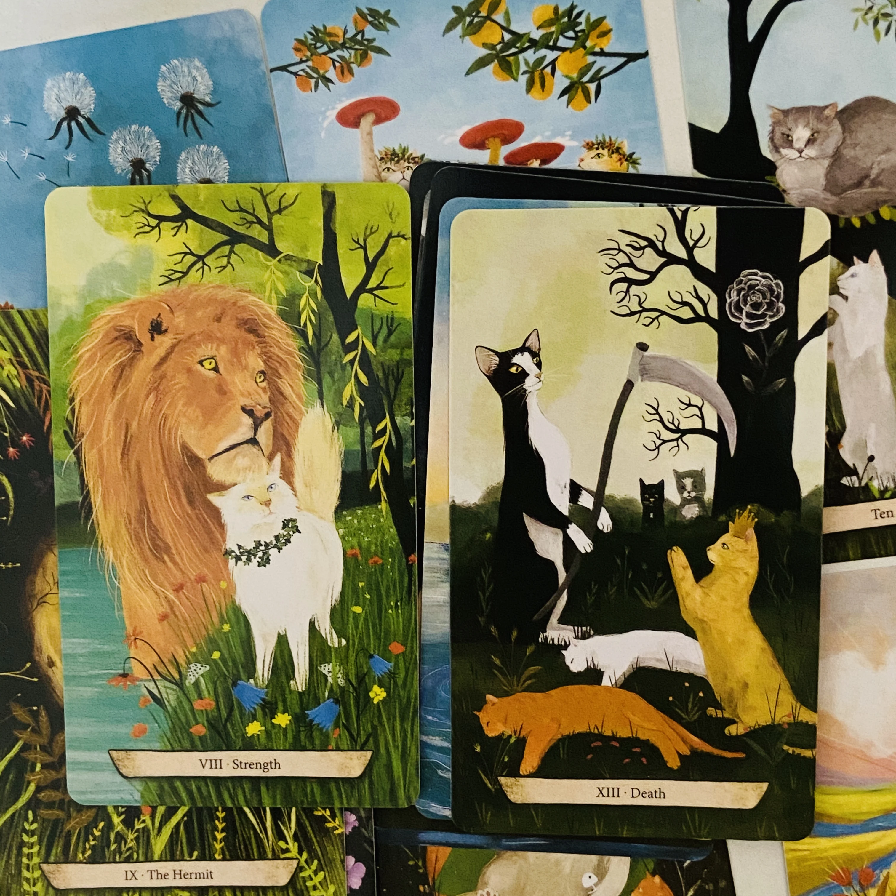 Enchanted Forest Felines Tarot Deck 78 قطعة بطاقات التارو الانتظار تجربة قوة العانسية القطط - 10.3*6 سم