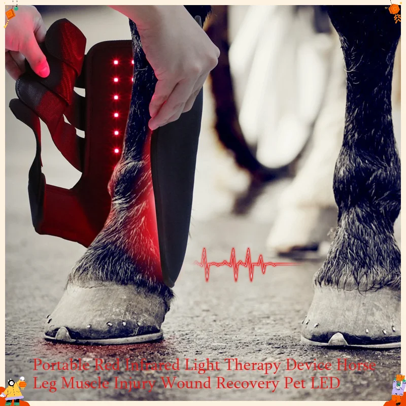 Portable Red Infrared Light Therapy Device Horse Leg Muscle Injury Wound Recovery Pet LED