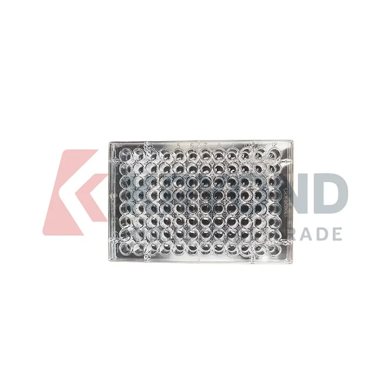 Solarbio YA0602 96 Well UV Microplate Non Sterile Laboratory Consumables for Enzyme Assay Research Detection Sample Analysis Use