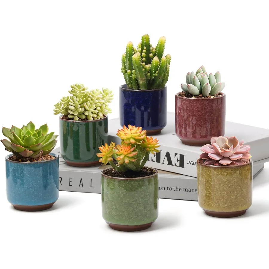 

2.5 Inch Small Ceramic Succulent Planter Pot with Drainage Hole Set of 6 Ice Crack Glaze Plant Container for Cactus Succulent P