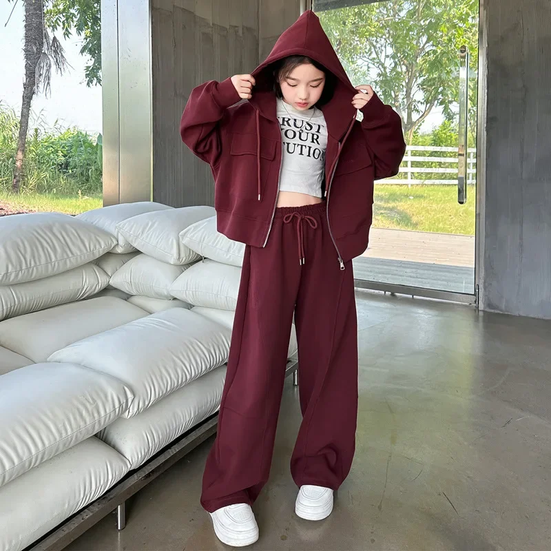 Girls Suits 2024 Autumn New Childrens Clothes Girls Baby Foreign Style Hooded Coat Two Pieces Sweatpants Casual Simple Fashion image 5