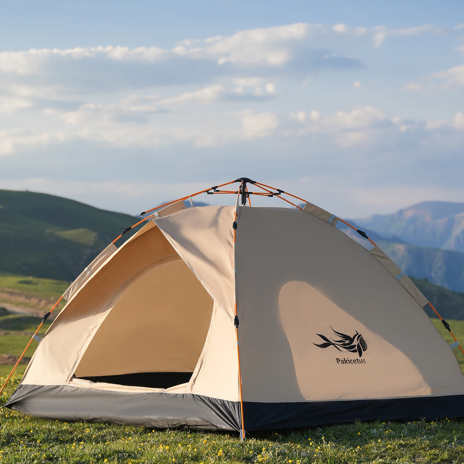 خيمة منبثقة أوتوماتيكية للمأوى الخارجي باللون الذهبي، مظلة، خيمة تخييم محمولة للسفر والشاطئ وصيد الأسماك، 2-3/3-4 أشخاص مقاومة للماء #5