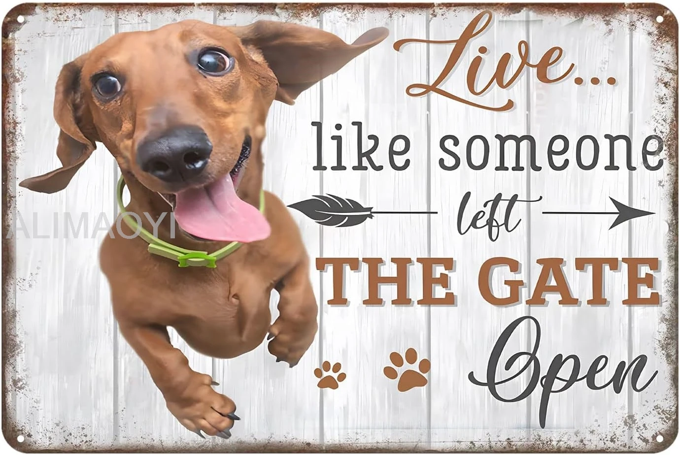 Live Like Someone Left The Gate Open Dachshund Dog Vintage Tin Sign Retro Metal Signs for Garage Family Bar Cafe Room B Alu sign