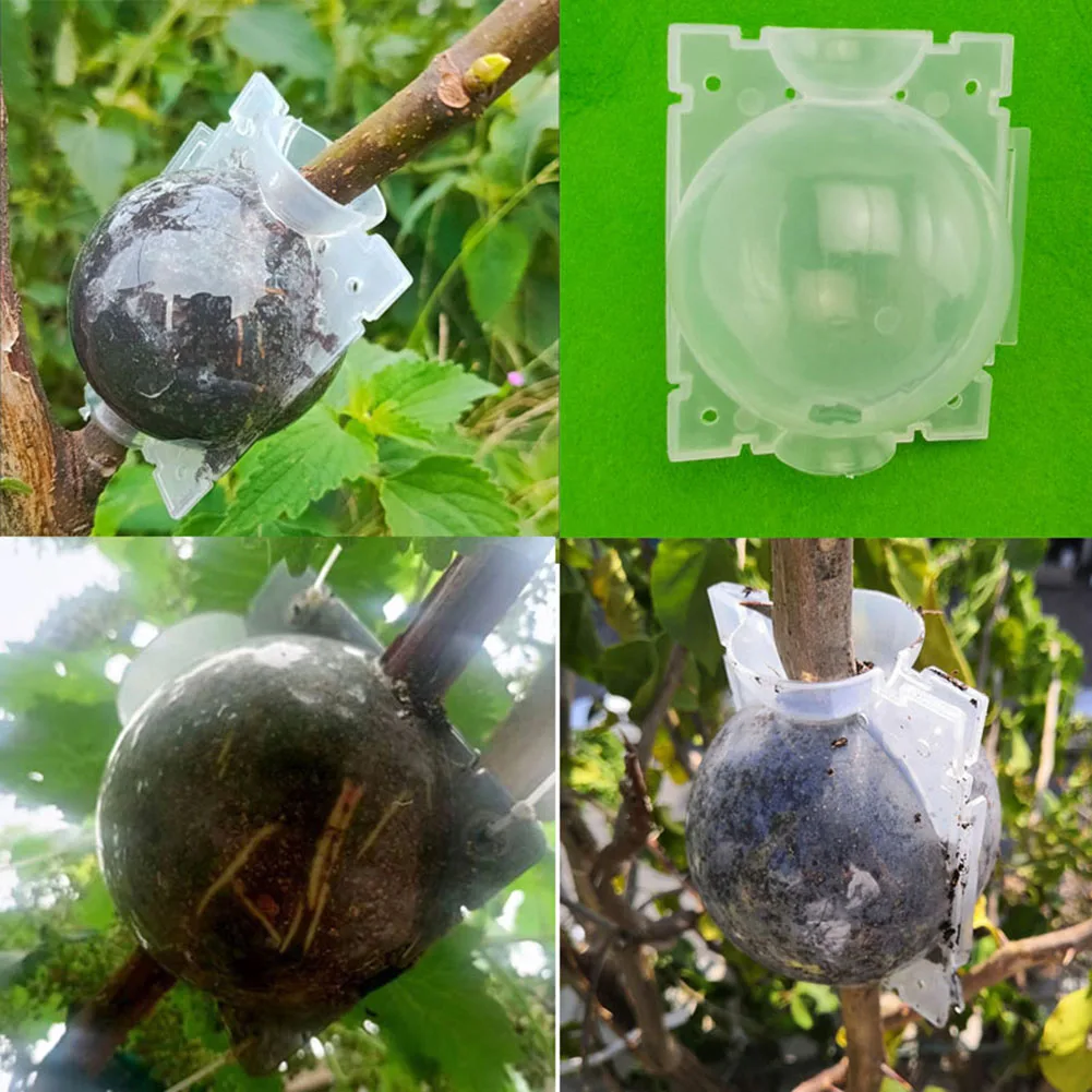 1pc Plant Rooting Growth Balls With Automatic Buckle Garden Tools Plant Supplies Tree High Pressure Propagation Graft Box