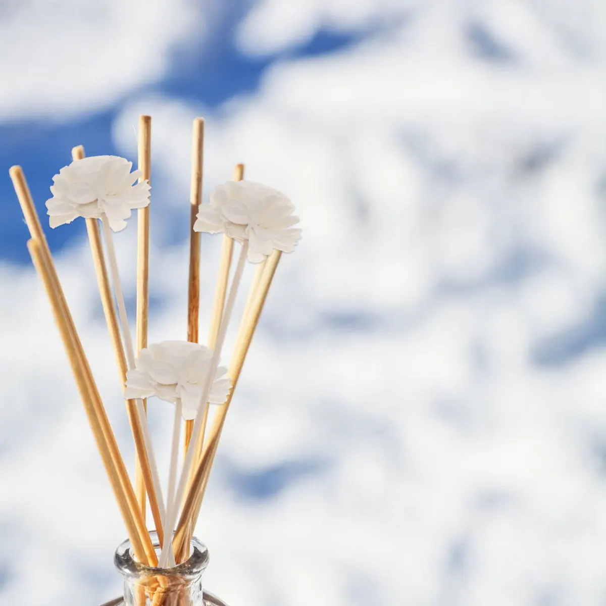 5 Pcs Dried Flowers Aromatherapy Room Diffuser Sticks Essential Oil Straight Decorative Fragrance Scented Wooden Rods