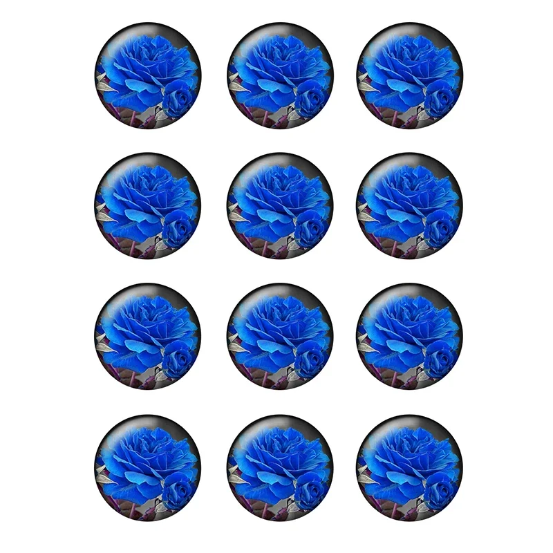 

24pcs Beauty Flower Colorful Blooming Pattern 10mm To 25mm Round Glass Cabochon Flatback Photo Jewelry Finding Making H200