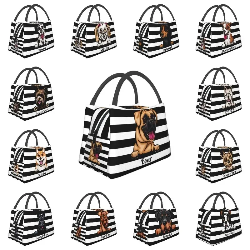 

Peeking Dog Boxer Insulated Lunch Bags For Women Waterproof Thermal Cooler Lunch Tote Work Picnic
