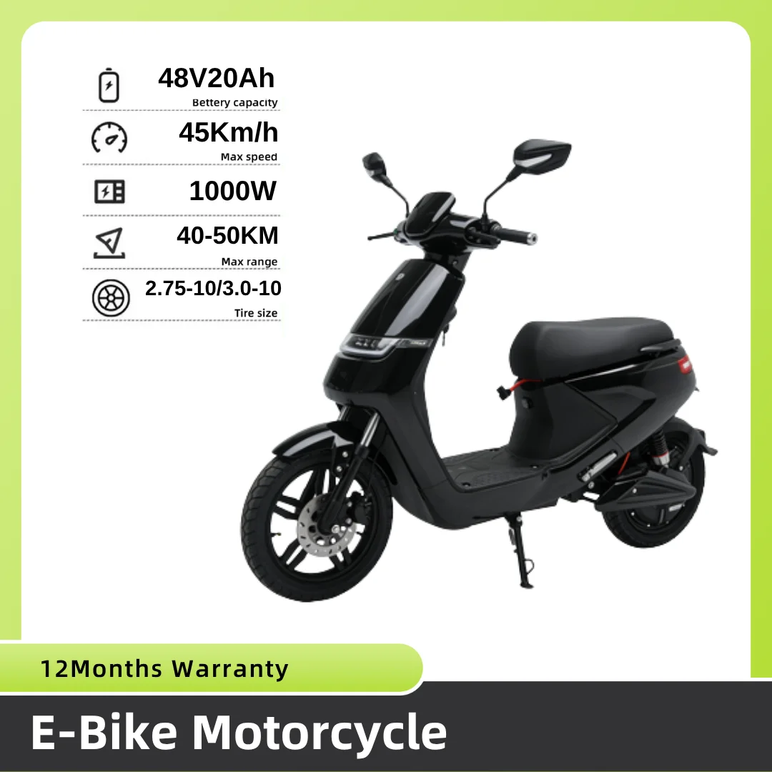 

LS High-End Powerful 1000W Electric Bicycle Disc Brake 48V20Ah Lead Acid Battery for Adult