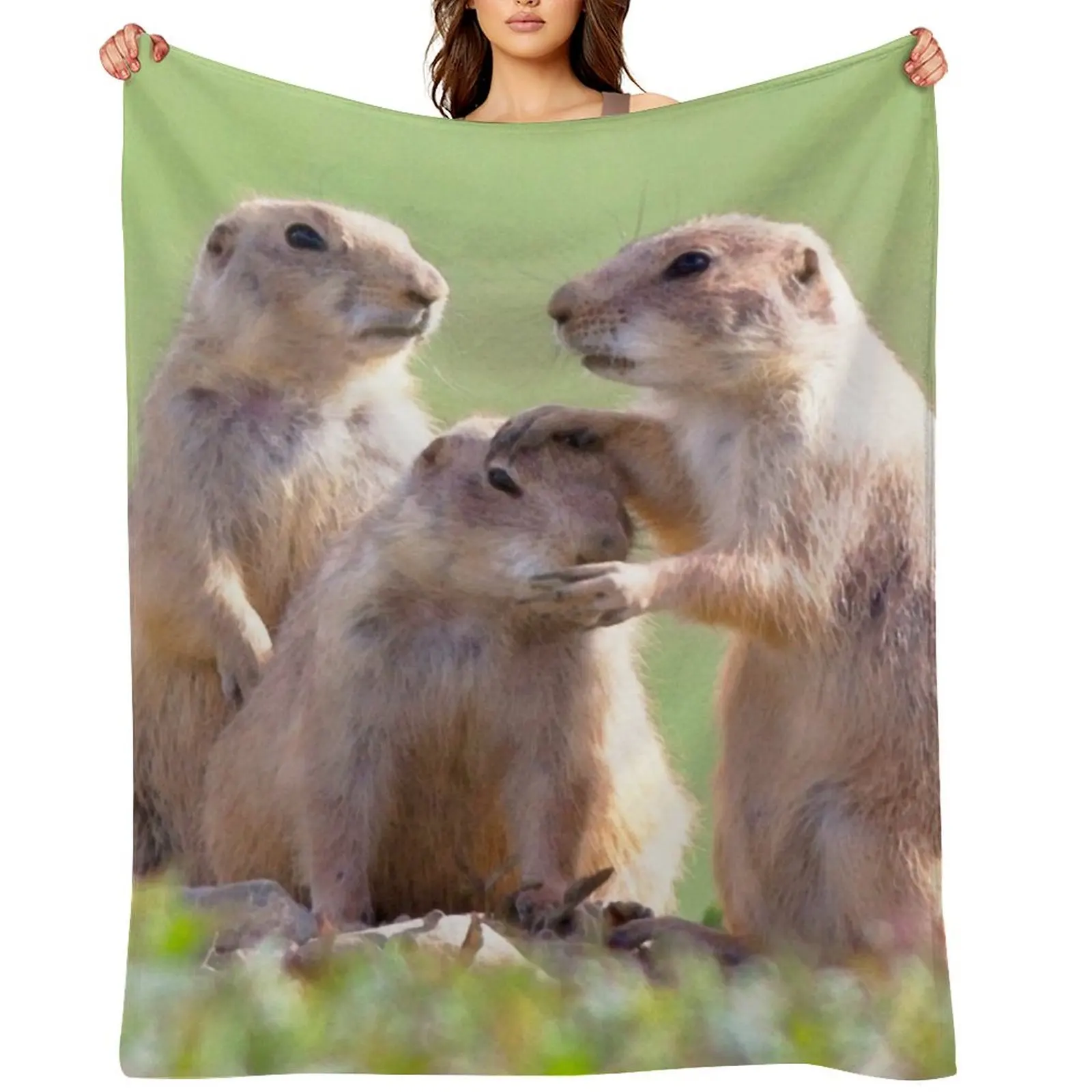 

Watercolor Prarie Dog 08, Boulder County, Colorado, Good Job Throw Blanket For Baby Thermal bed plaid Blankets