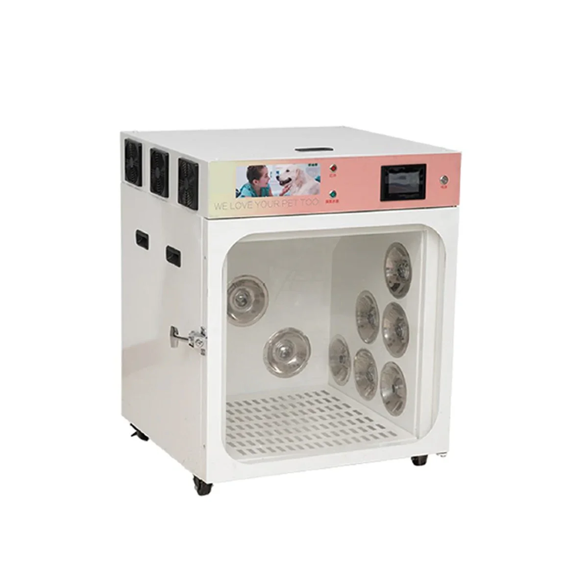 automatic pet dog cat animal hair dryer room box cabinet dryer