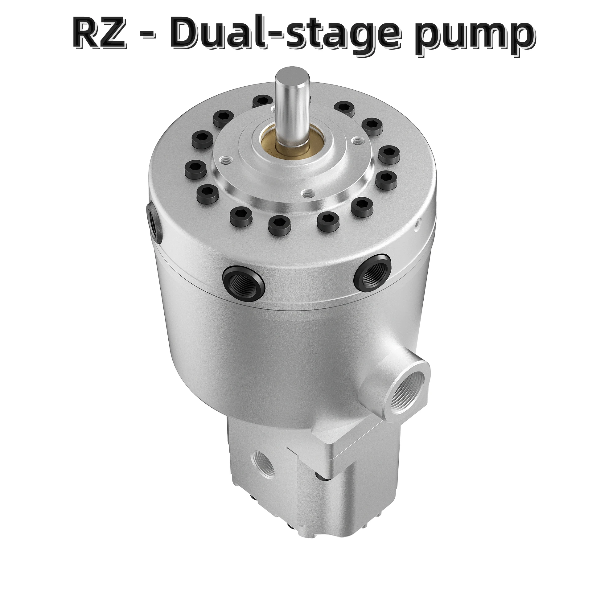 Large Flow Kamishiro Hydraulic RZ - Dual-stage Pump HAWE Radial Piston Pump MPE PE With Gear Pump For Oil Hydraulic Power Pack