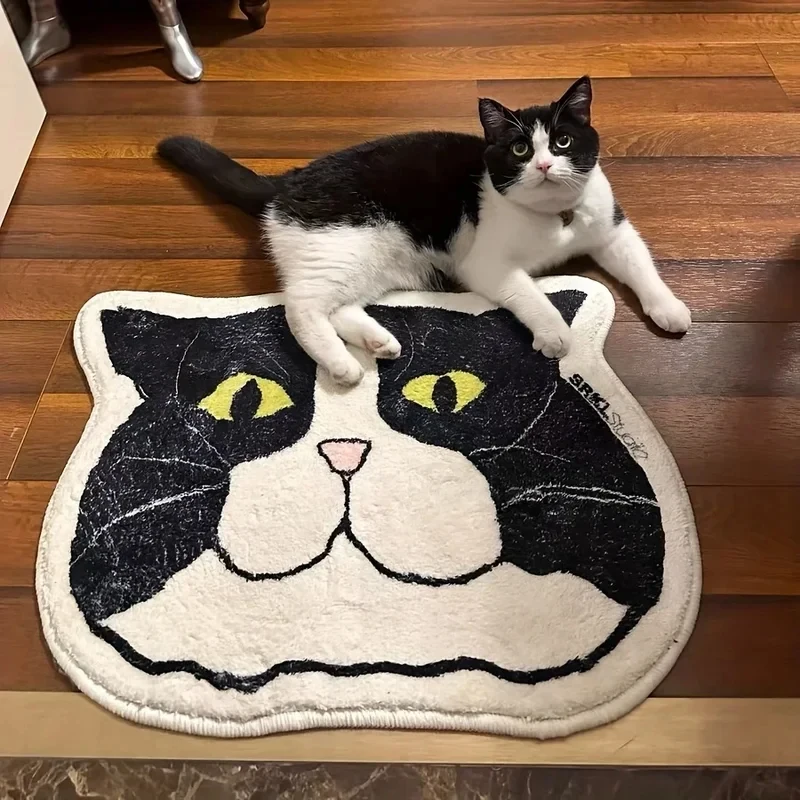 VIKAMA Fluffy Cartoon Cat Face Rug Non-Skid Stain Resistant Durable Washable Absorbent Floor Mat for Entryway Nursery Bedroom