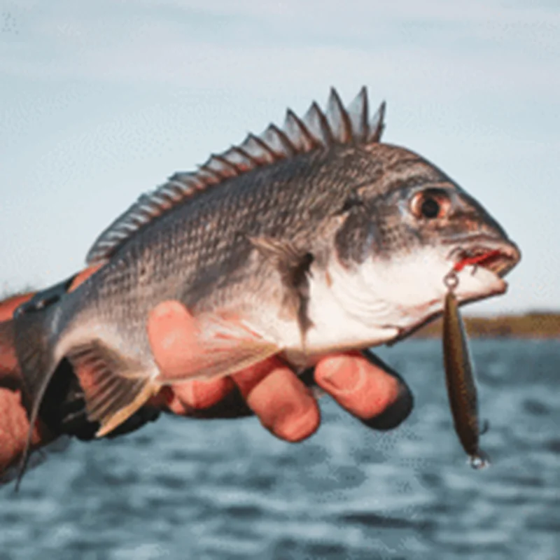 80/100mm 7/13g XR-10 Schwebender Minnow-Angelköder X-RAP Künstlicher Schwimmköder mit Federhaken und Durchscheinendem Körper für Barsch – Detail 1