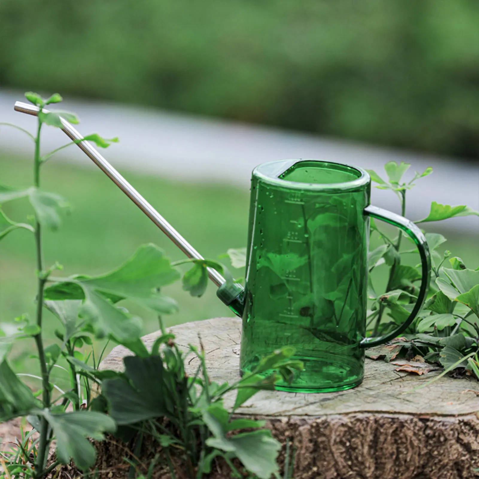 1L/1.5L Indoor Plants Watering Can Transparent Detachable Stainless Steel Long Spout Watering Can for Flower Pot Garden Tools