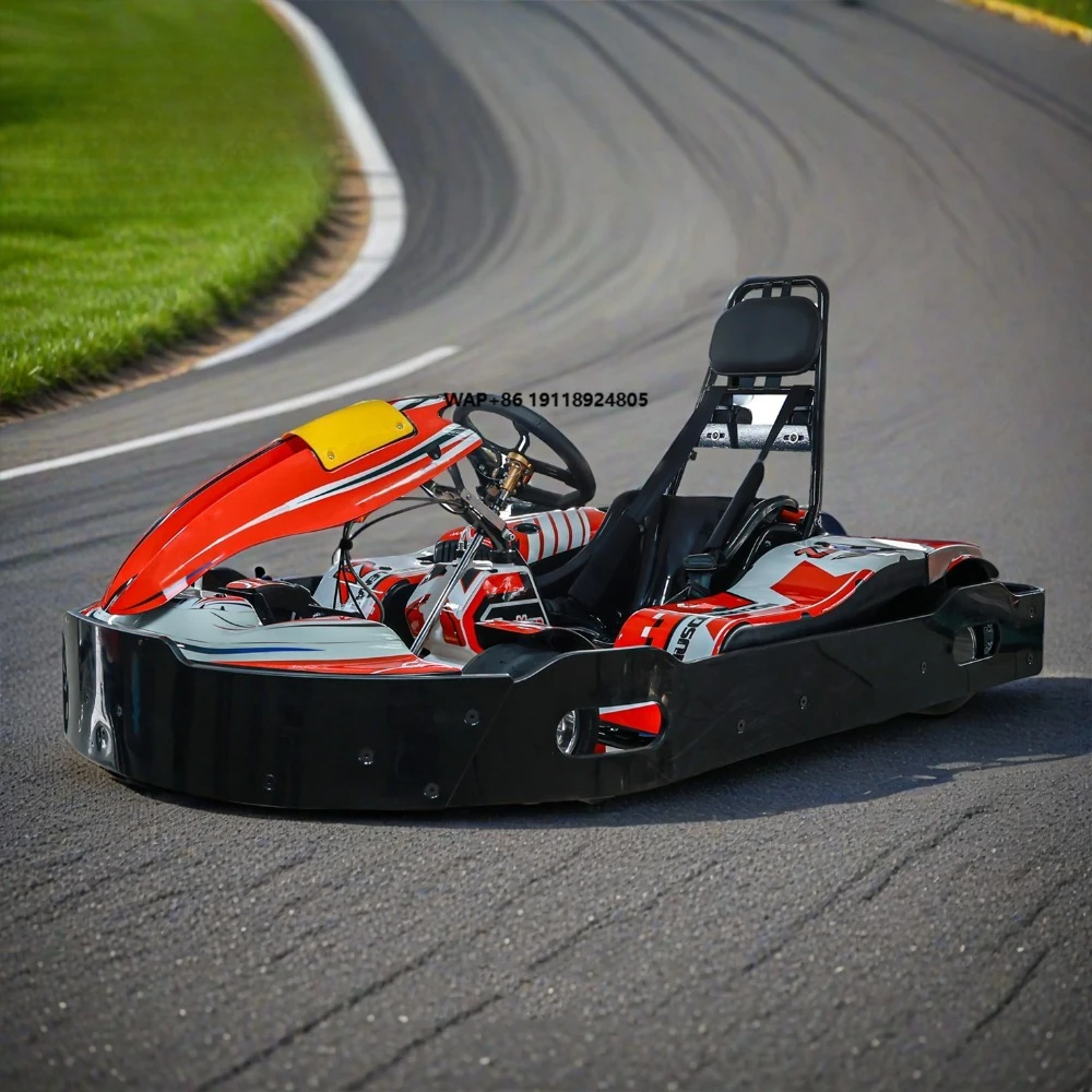 Custom Gas Go Kart 90cc 125cc 200cc 270cc Go Karts with Hon-da GX200 Engine Club Racing Karting for Adults