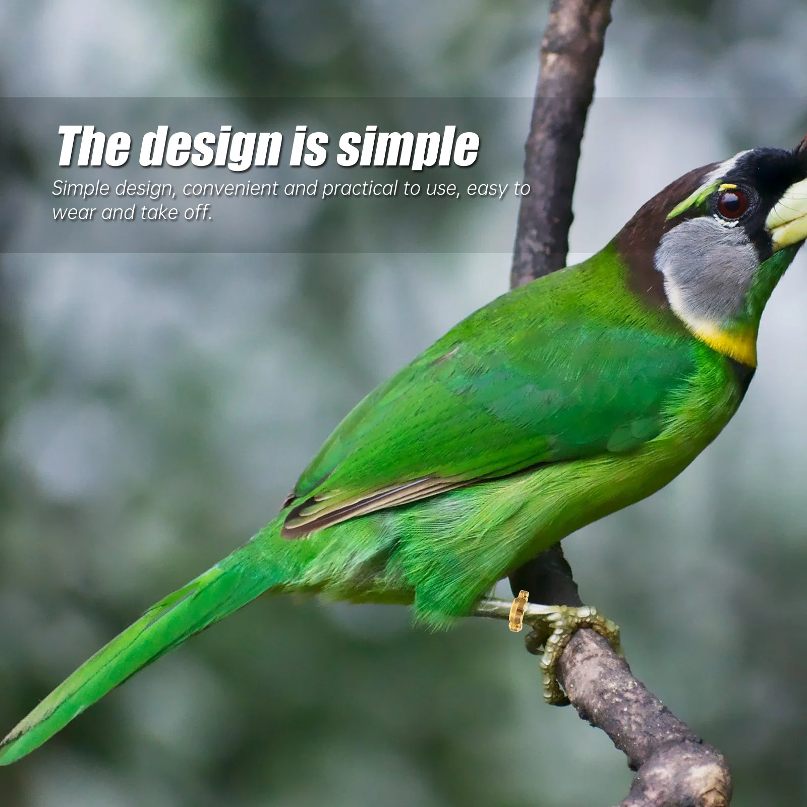 : Chucherías y vitaminas