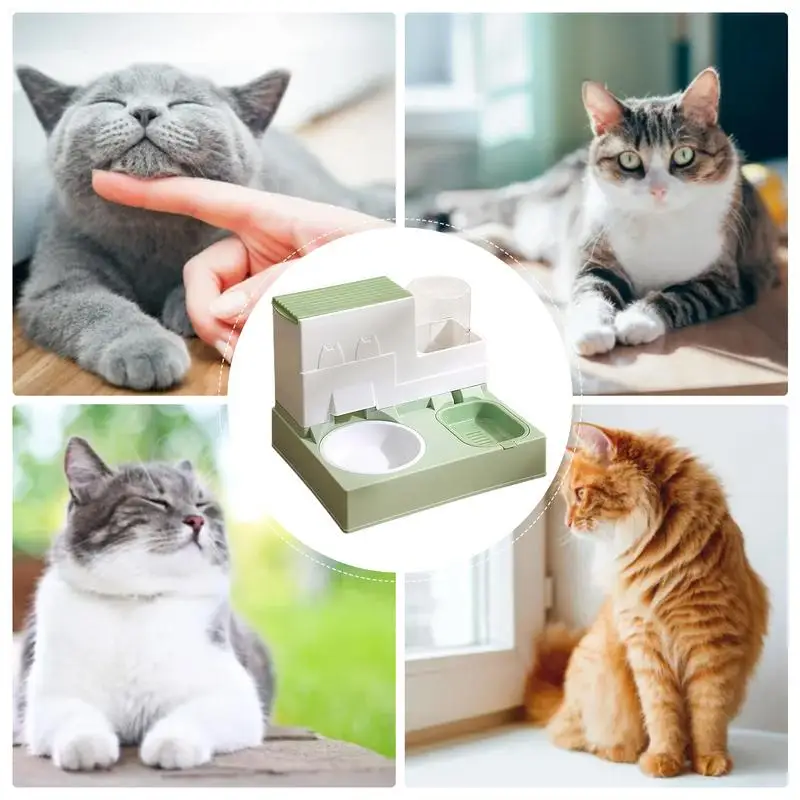 Automated Cat Feeder Automatic Food Feeder Dog Cat Water Feeding Bowls Pet Dry Food Dispenser Sturdy Food And Water Dispenser