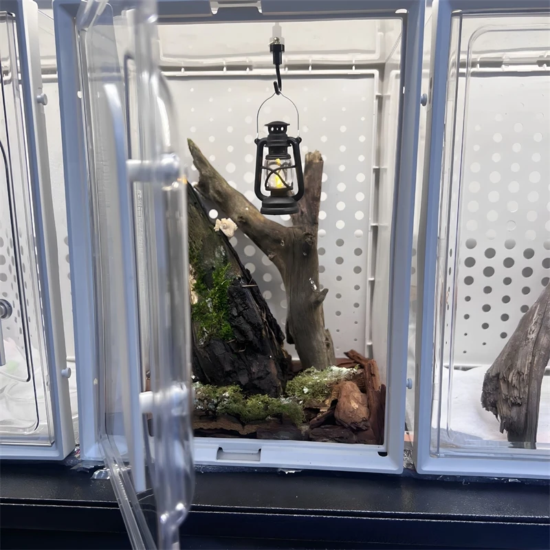 Transparent Thick Reptile Terrarium Airy Pet Box For Geckos Frogs Lizards Table Display Birthday Gift For Beginners - view 5