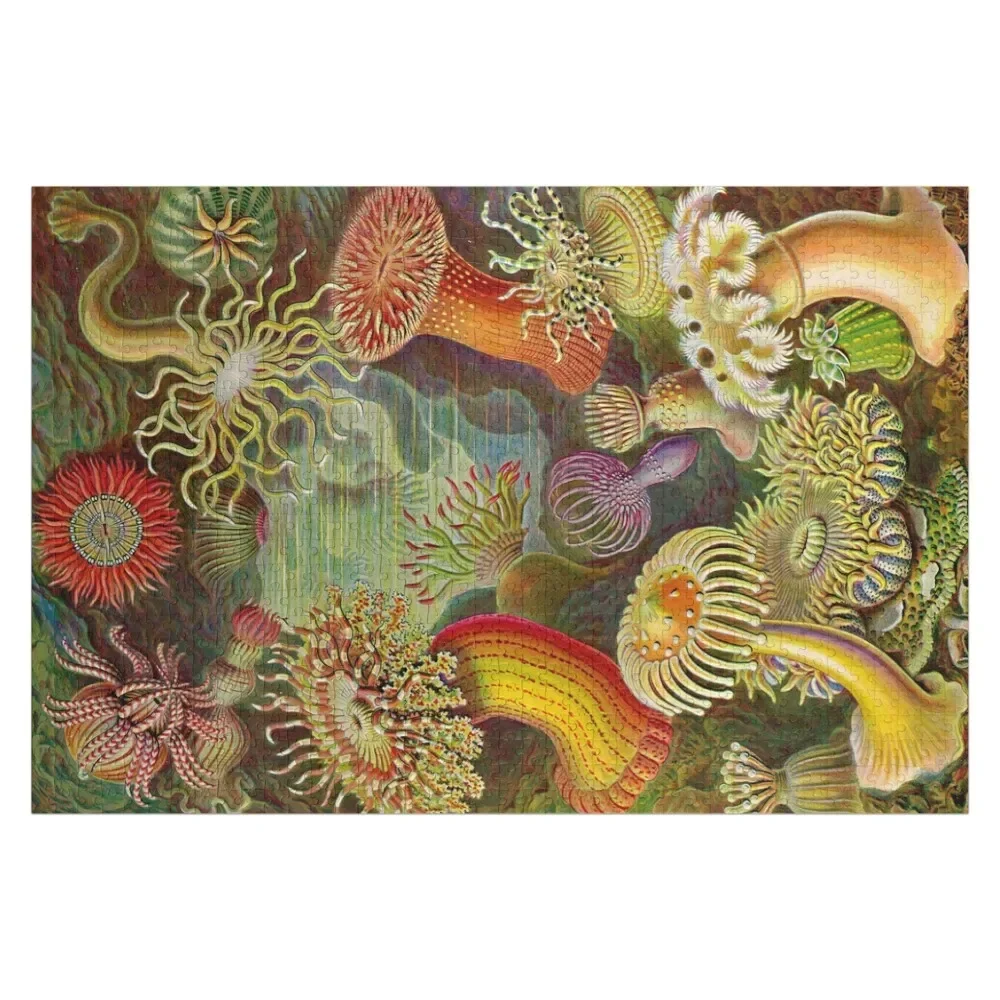 Sea anemone - Ernst Haeckel Jigsaw Puzzle Customizeds For Kids Wooden Boxes Anime Customs With Photo Puzzle