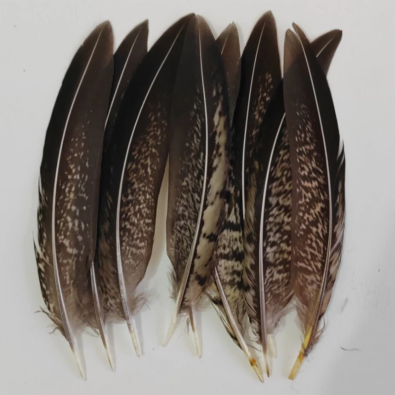 Image 4: Lot de 10 Plumes de queue de faisan Lady Amherst de 10-15m, en vrac, pour la vente en gros, la création de bijoux DIY et la décoration de spectacles