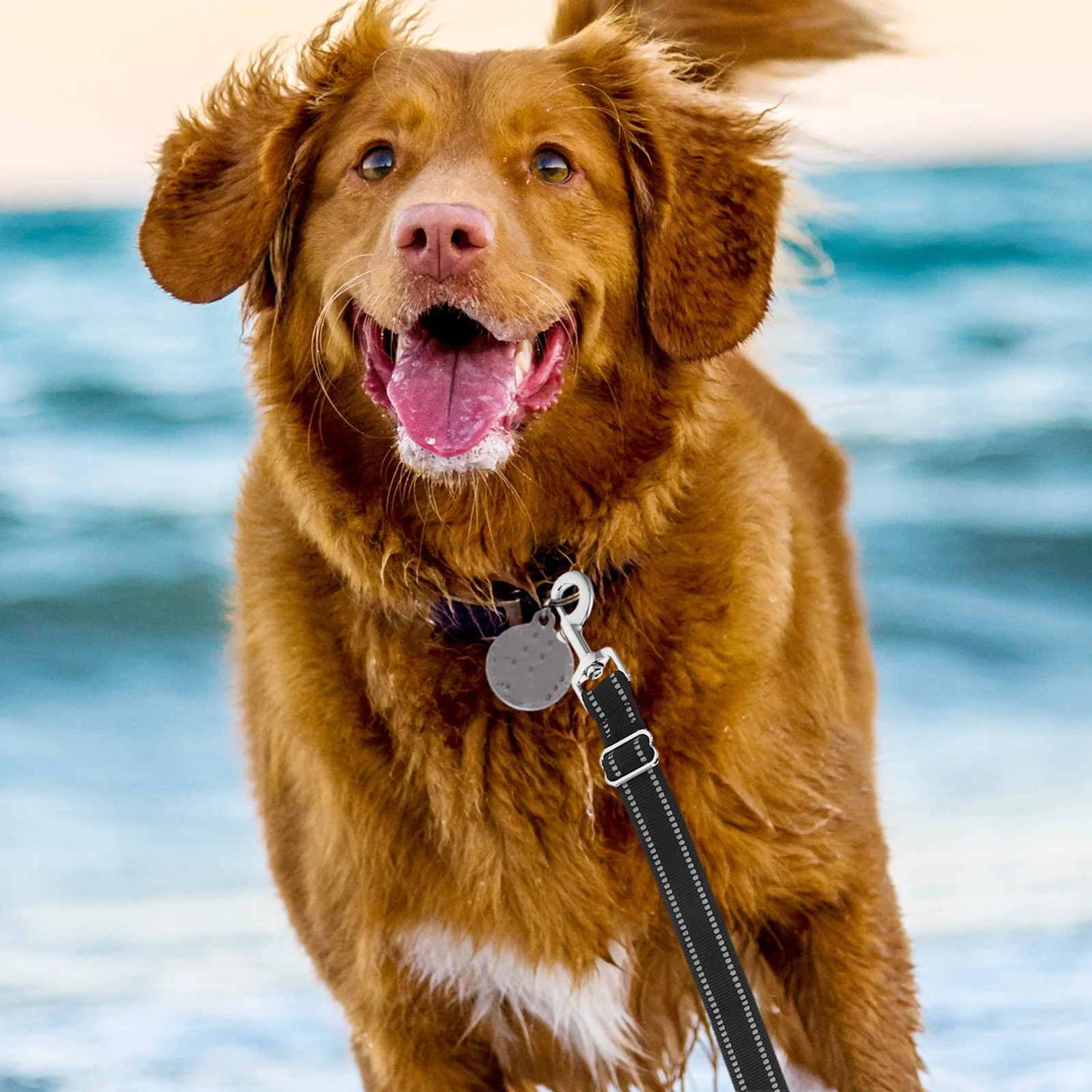 

Double Dog Leash Coupler Black Adjustable Splitter Lead Durable Nylon Dog Walker Trainer Leash Pet Tow Rope