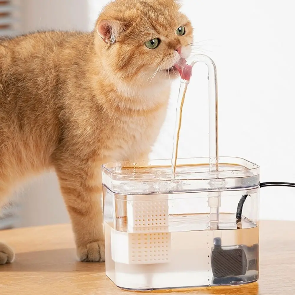 

Household Automatic Cat Water Fountain Transparent Silent Cat Filtering Drinker Recirculate Smart Pet Water Feeder Holiday